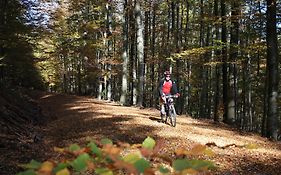 Hotel Gasthof Zum Biber